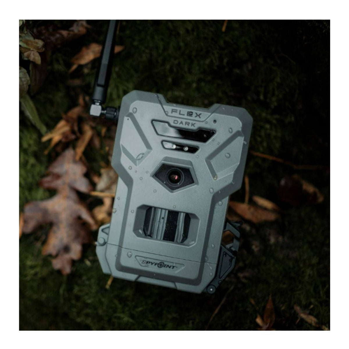 SPYPOINT FLEX DARK GPS Cellular Trail Camera No WiFi Needed 32GB Memory Card and Card Reader 2 Pack