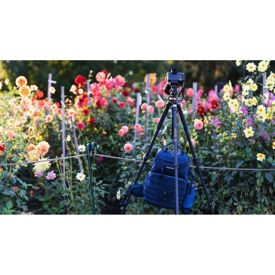 Vanguard VEO 3+ 263CP Aluminum Tripod with Ball Head and Multi-Angle Central Column System (Black)