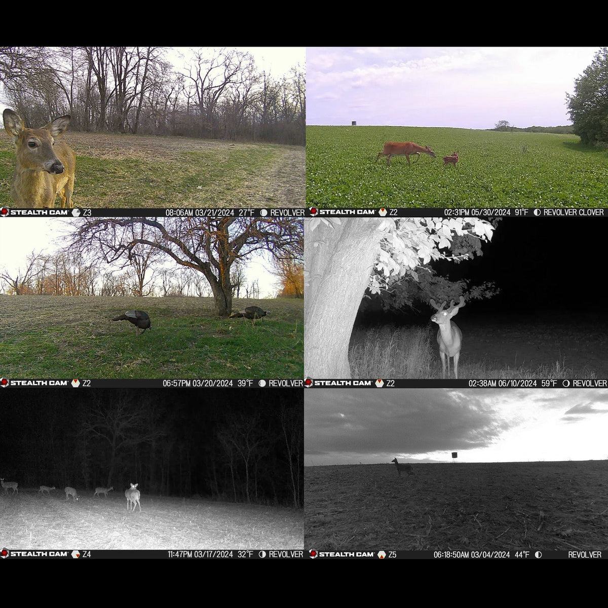 Stealth Cam Revolver 36MP 360-Degree Cellular Trail Camera with 1/4-Inch Mount (6-Pack) Bundle