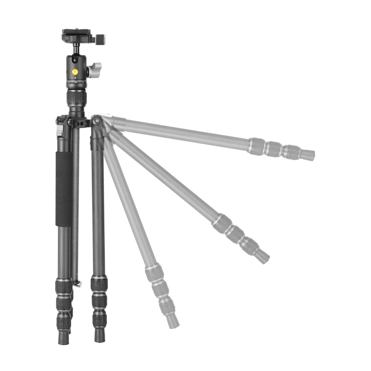 Vanguard VestaGO 204CB Ultra Lightweight Carbon Fiber Travel Tripod with VEO BH-45 Ball Head (Black)