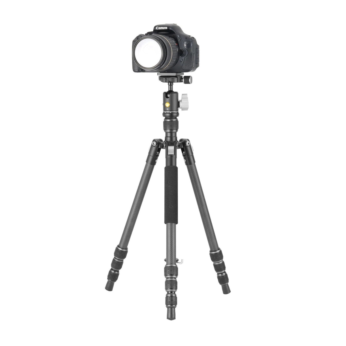 Vanguard VestaGO 204CB Ultra Lightweight Carbon Fiber Travel Tripod with VEO BH-45 Ball Head (Black)