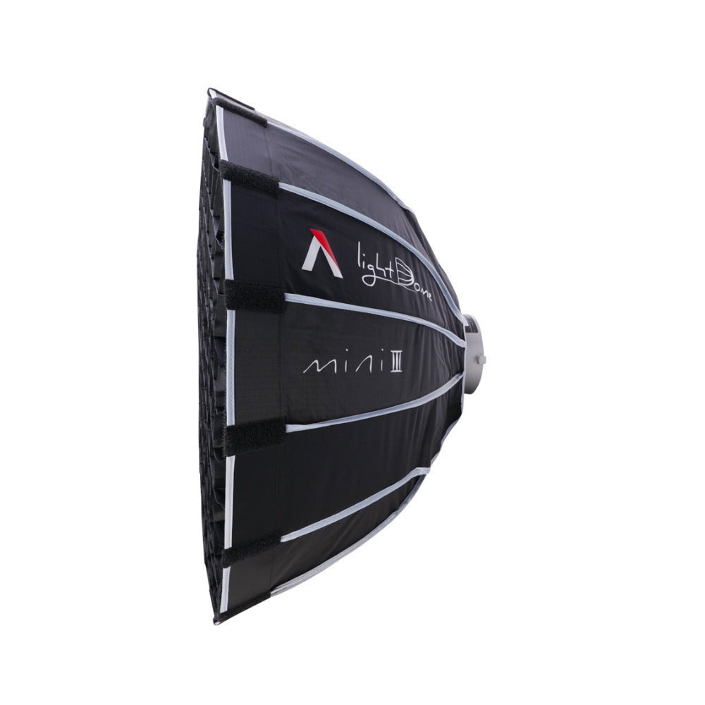 Aputure LS 600X Pro (V-Mount) with Dome, Fresnel, Barndoors and Camera System Gadget Bag