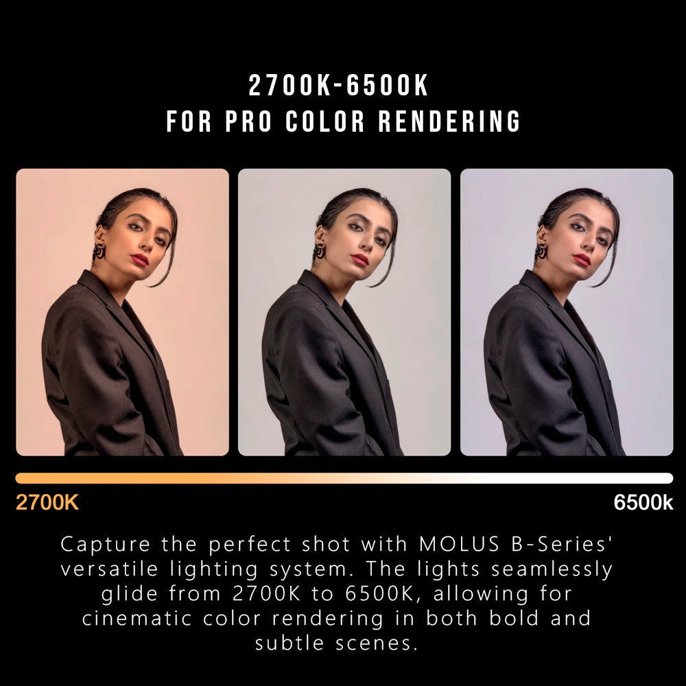 Zhiyun Molus B200 Bi-Color LED Monolight with Zhiyun 3-Feet 90D Parabolic Softbox Bundle